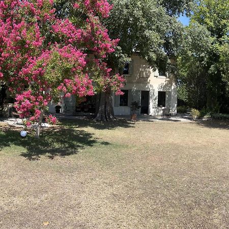 Alpilles Camargue Mas Falabrego Raphèle Zewnętrze zdjęcie