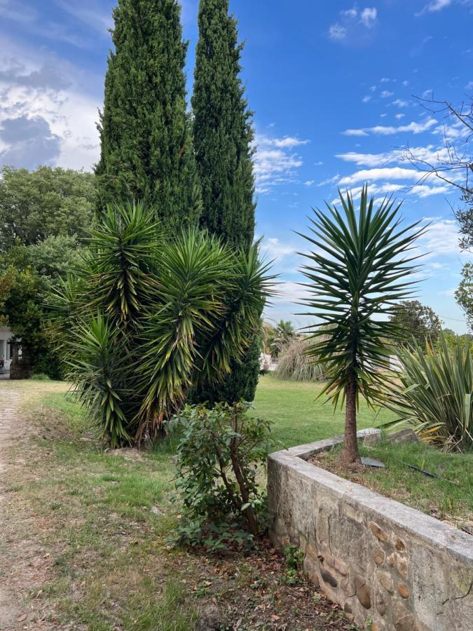 Alpilles Camargue Mas Falabrego Raphèle Zewnętrze zdjęcie