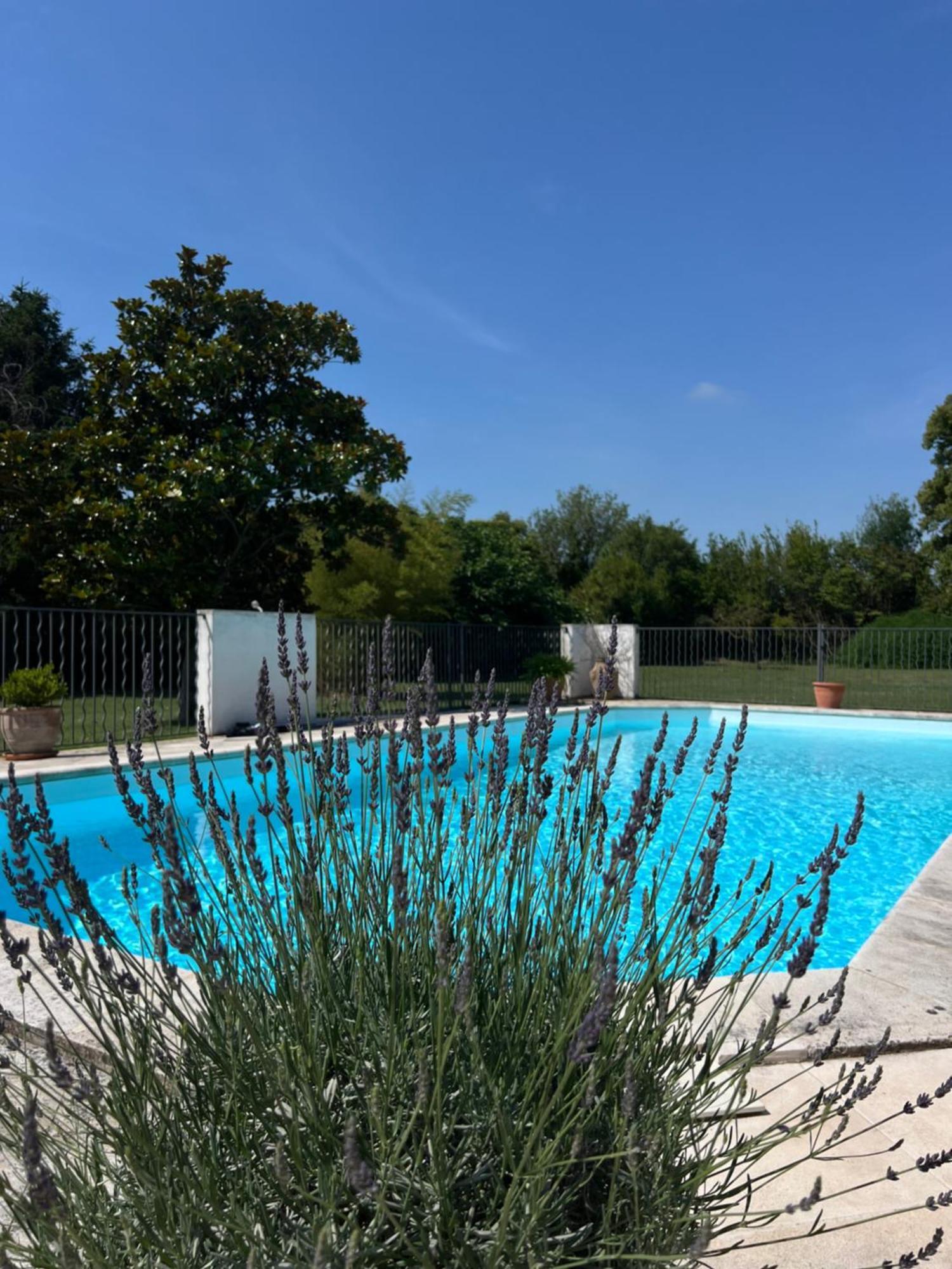 Alpilles Camargue Mas Falabrego Raphèle Zewnętrze zdjęcie